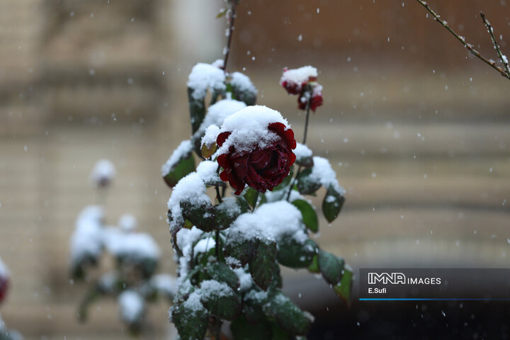 اراک؛ پاییزی که به زمستان سلام کرد