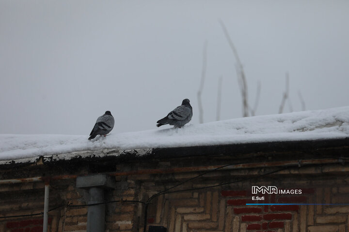 اراک؛ پاییزی که به زمستان سلام کرد