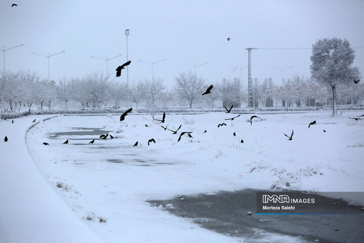 بارش برف در شهرستان مبارکه اصفهان