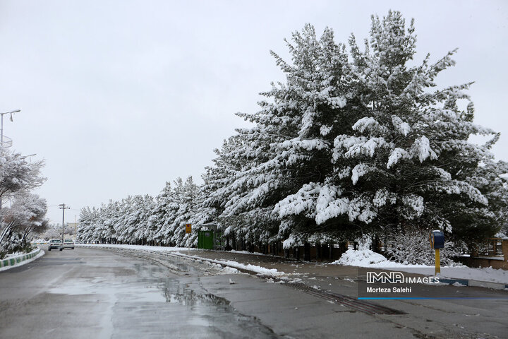 بارش برف در شهرستان مبارکه اصفهان