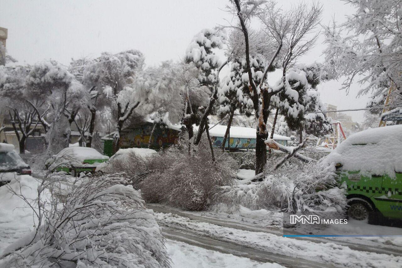 شهروندان اصفهانی از پارک خودرو زیر درختان شهر پس از بارش برف خودداری کنند
