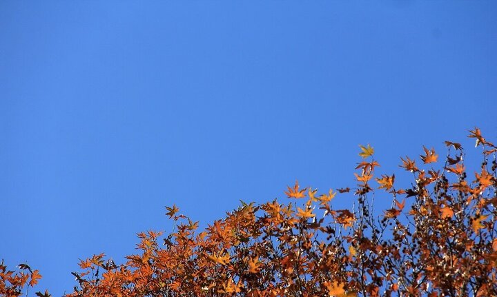 نهمین روز هوای «پاک» سال‌جاری در کلانشهر مشهد ثبت شد 