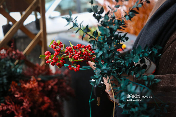 بازار خرید شب یلدا