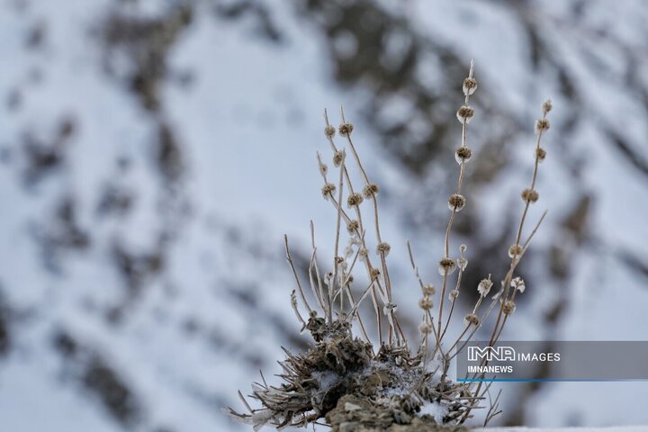 پیش بینی ریزش تگرگ ، بارش برف و کاهش دما در خوزستان