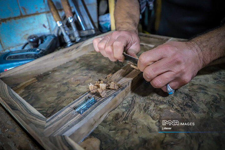 منبت‌کاری کردستان، از دل چوب تا شهرت جهانی