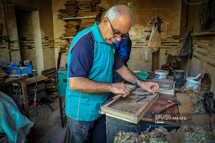 منبت‌کاری کردستان، از دل چوب تا شهرت جهانی