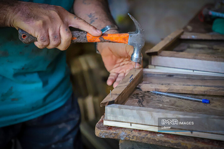 منبت‌کاری کردستان، از دل چوب تا شهرت جهانی