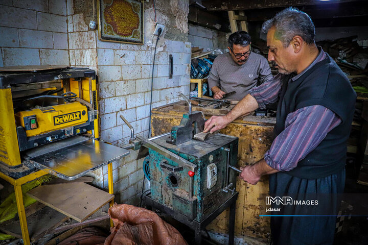 منبت‌کاری کردستان، از دل چوب تا شهرت جهانی