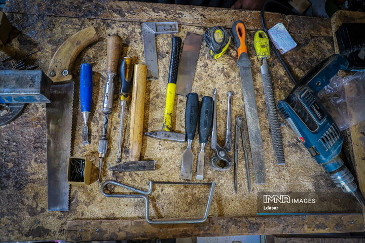 منبت‌کاری کردستان، از دل چوب تا شهرت جهانی