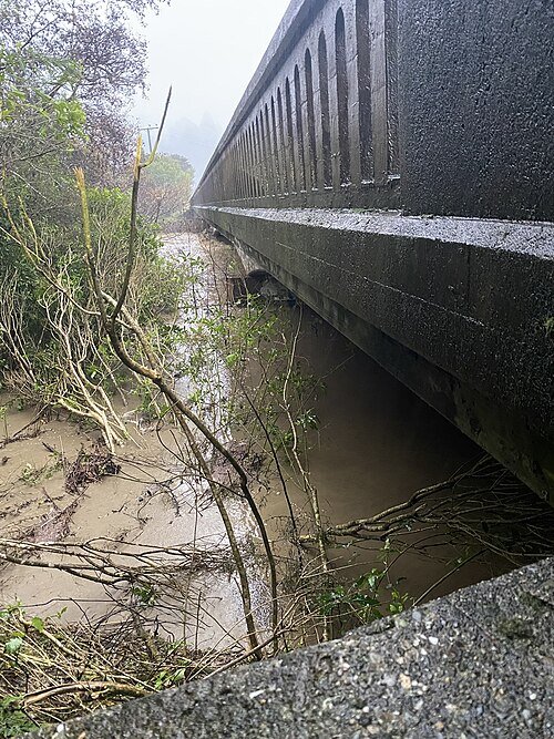 مدیریت سیلاب در جهان؛ تجربه‌های موفق و شکست‌خورده ۲۰۲۵