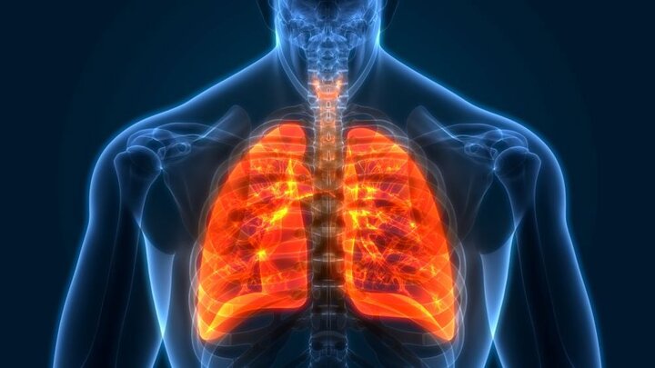 Respiratory Hygiene and Its Principles: The Hidden Threats to Airway Health