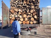 افزایش ۳۲ درصدی کشفیات قاچاق چوب در کردستان