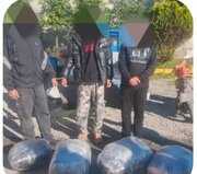 کشف ۳۰ کیلوگرم مواد روان‌گردان گل در محمودآباد