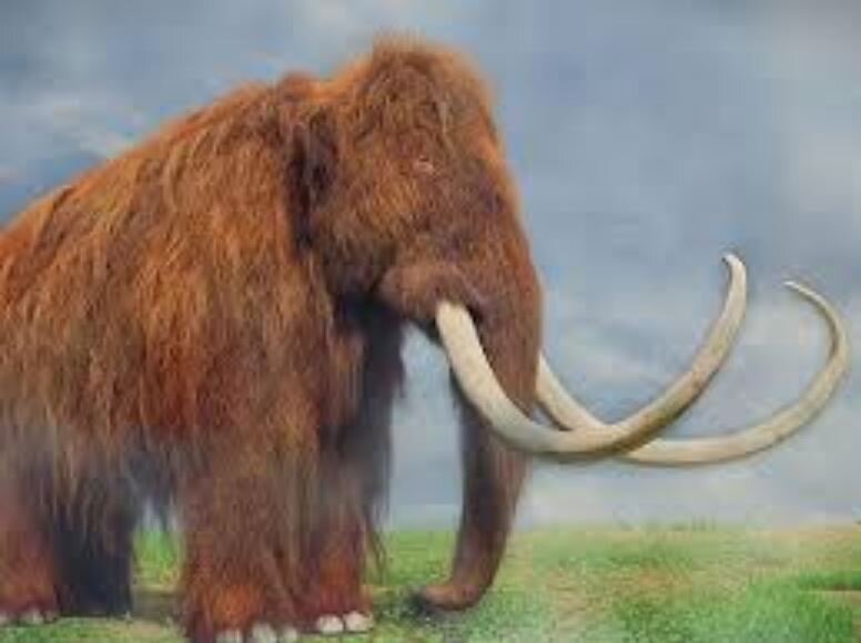 کشف خانه های ماموتی در اوکراین