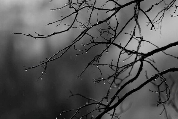 خوزستان از شنبه بارانی می‌شود