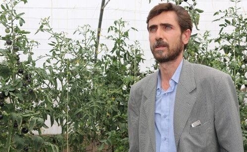 چرا «محصول سالم» در بازار ایران بیمشتری مانده است؟