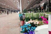سالن سرشاخه باغ ارغوان، سکوی رونق تولیدکنندگان گل و جاذبه گردشگری شهر اصفهان