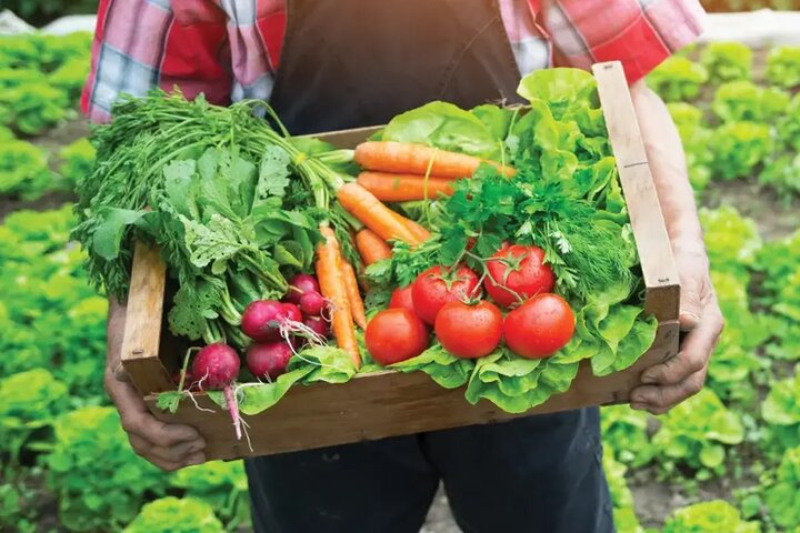 چرا «محصول سالم» در بازار ایران بی‌مشتری مانده است؟