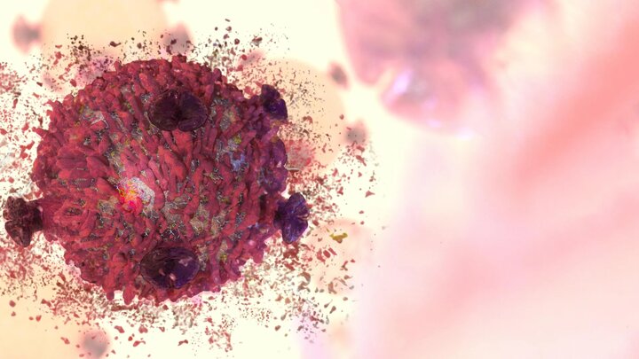 رمزگشایی یک ترکیب گیاهی نادر ضدسرطان