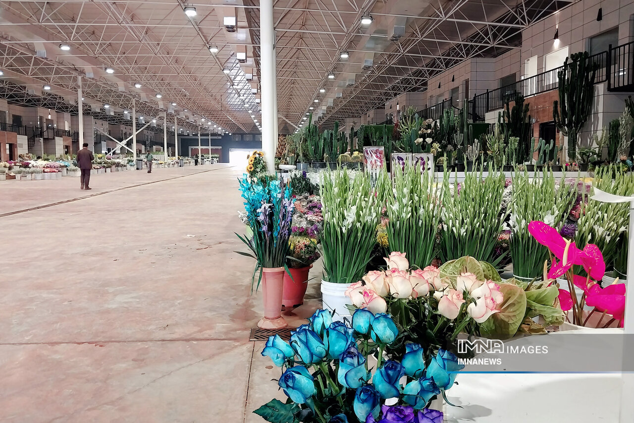 بازار ارغوان در آستانه افتتاح؛ ۱۳ هکتار تفریح، آموزش و گل در یک مکان