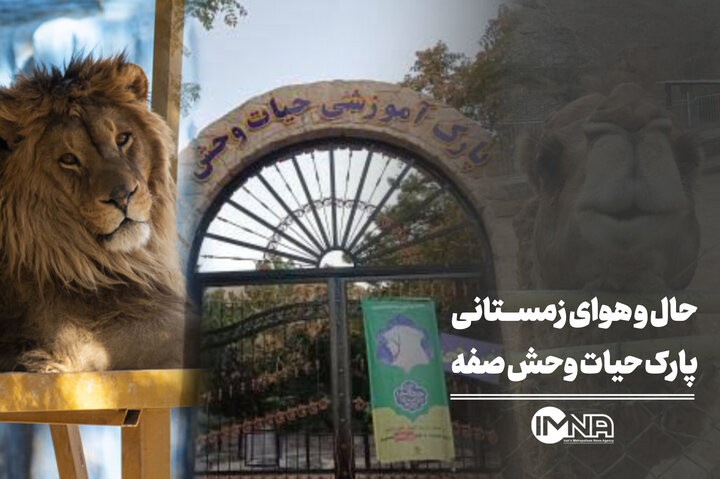 پارک حیات وحش صفه در زمستان