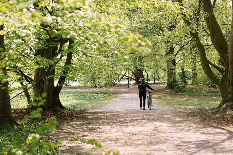 تحول طبیعت‌محور شهرهای جهان در ۲۰۲۶ با قاعده ۳-۳۰-۳۰۰