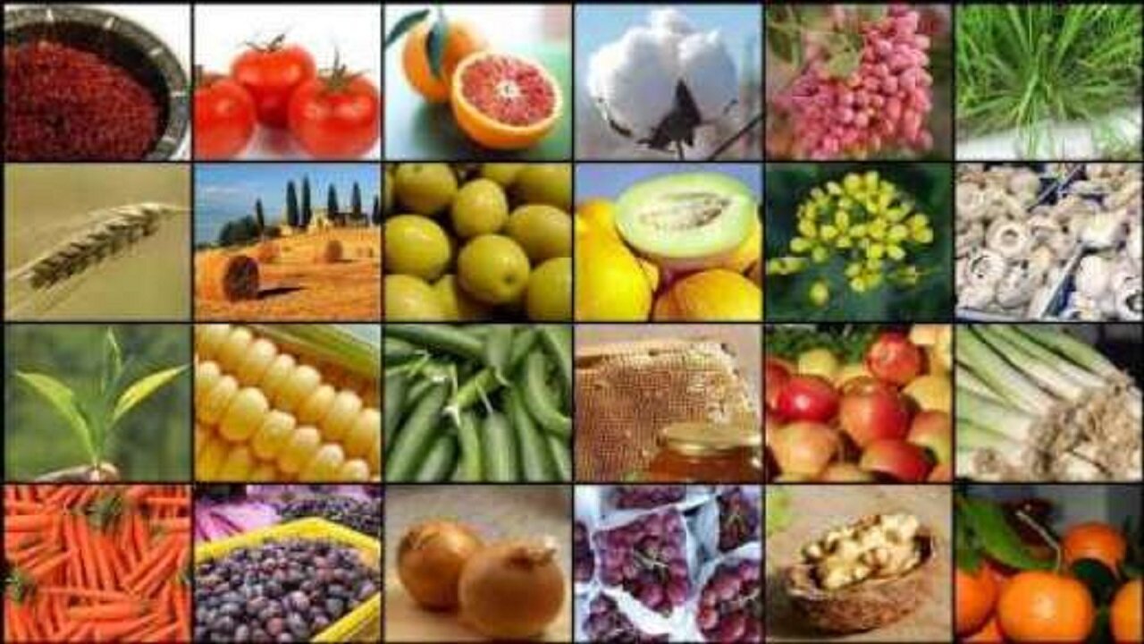 نقشه صادرات کشاورزی ایران؛ از سیب و کیوی تا خرما و زعفران