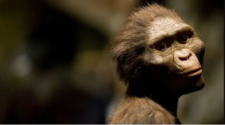 بازنویسی شگفت‌انگیز تاریخ انسان