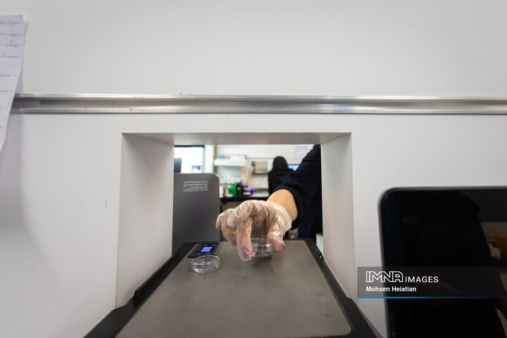 آغاز زندگی در آزمایشگاه