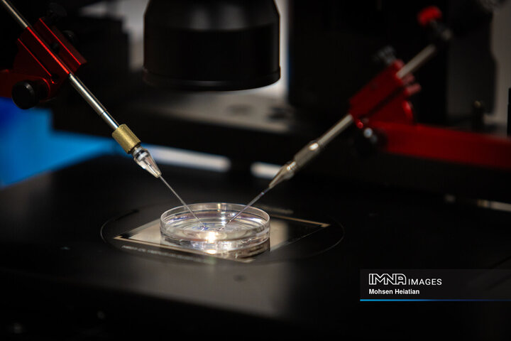 عملیات نمونه‌گیری از جنین‌های تشکیل شده به منظور بررسی وضعیت سلامت جنین و جنسیت