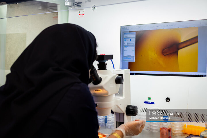 عملیات بازیابی تخمک