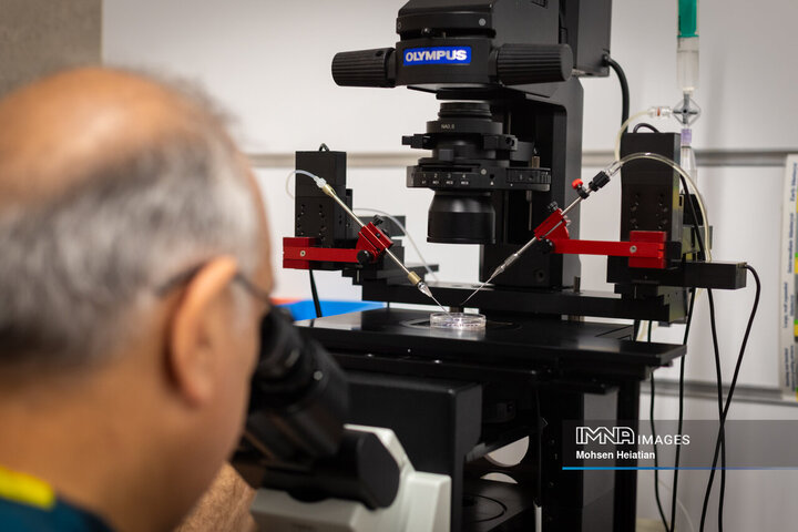 عملیات نمونه‌گیری از جنین‌های تشکیل شده به منظور بررسی وضعیت سلامت جنین و جنسیت