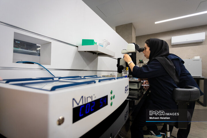 انجام عملیات لقاح(اینجکشن) 