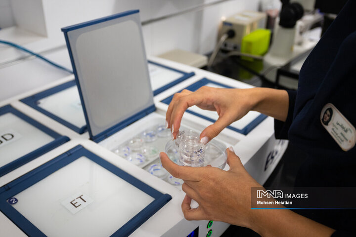 محل نگهداری تخمک‌ها پس از انجام عملیات لقاح