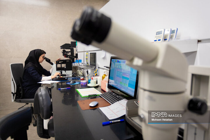 عملیات نمونه‌گیری از جنین‌های تشکیل شده به منظور بررسی وضعیت سلامت جنین و جنسیت