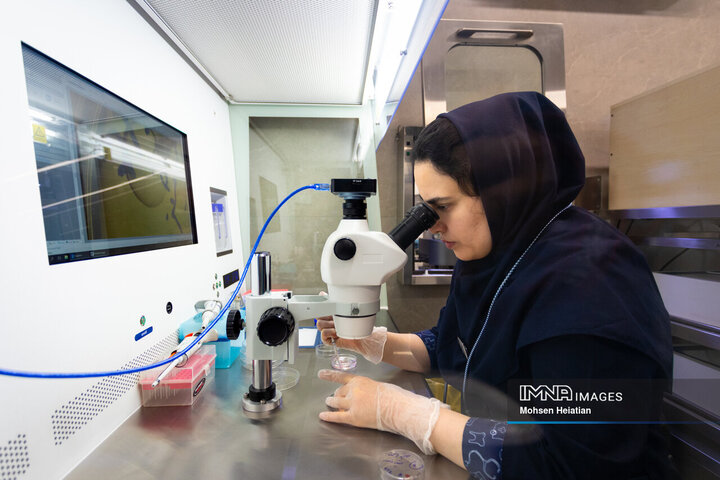 انجام عملیات بازیابی تخمک توسط اوپراتورهای آزمایشگاه در مقیاس میکروسکوپی انجام می‌شود