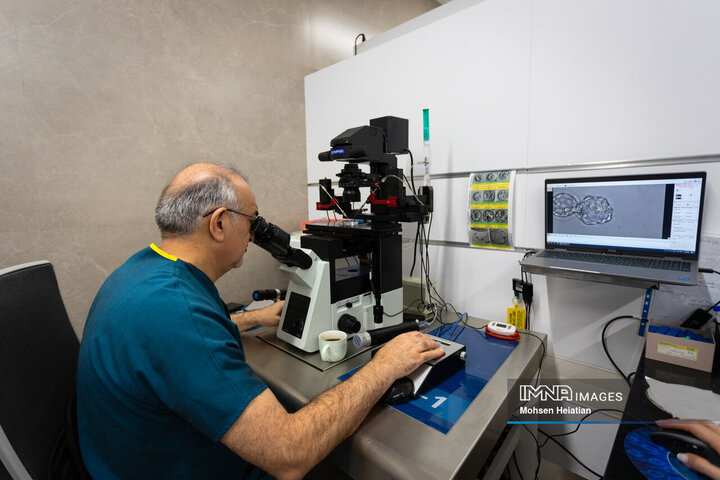 عملیات نمونه‌گیری از جنین‌های تشکیل شده به منظور بررسی وضعیت سلامت جنین و جنسیت