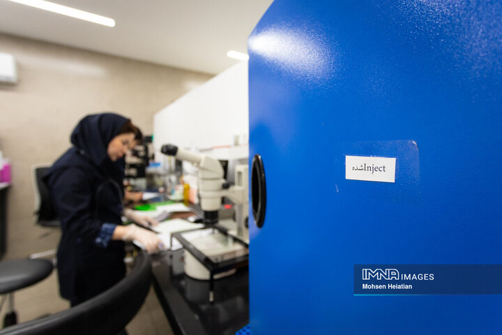 انجام عملیات لقاح(اینجکشن) 