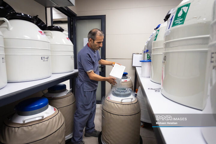 مخازن فریز اسپرم، تخمک و جنین حاوی ازت مایع