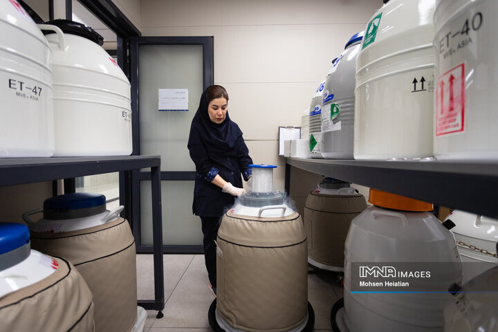 مخازن فریز اسپرم، تخمک و جنین حاوی ازت مایع