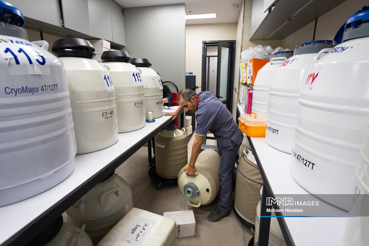 مخازن فریز اسپرم، تخمک و جنین حاوی ازت مایع