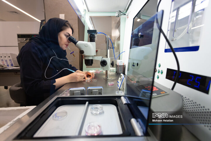 عملیات لقاح پس از فریز