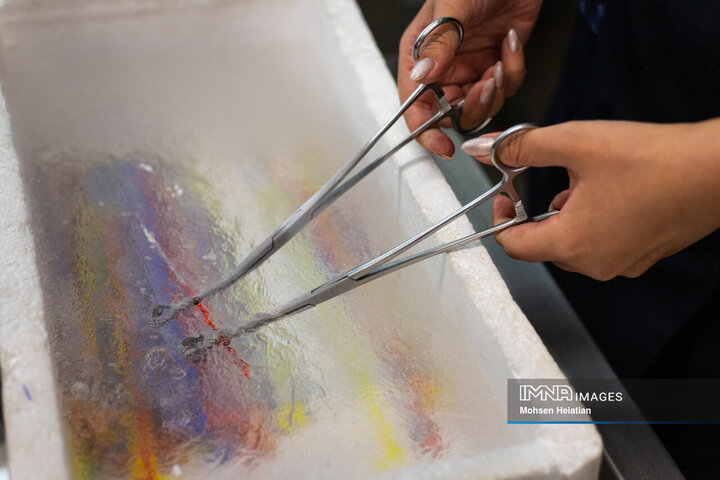 مخازن نگهداری تخمک تا لحظه انجام فرایند لقاح در ازت مایع نگهداری می‌شوند