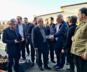 پای دستگاه قضا به میدان میوه و تره‌بار ساری باز شد