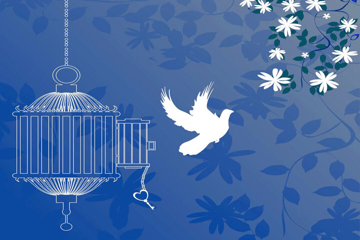 ۶ زندانی جرایم غیرعمد در زنجان آزاد شدند