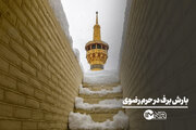 بارش برف در حرم رضوی