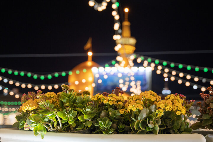 برنامه‌های حرم امام رضا (ع) در سالروز ولادت حضرت علی اکبر(ع) اعلام شد + جزئیات