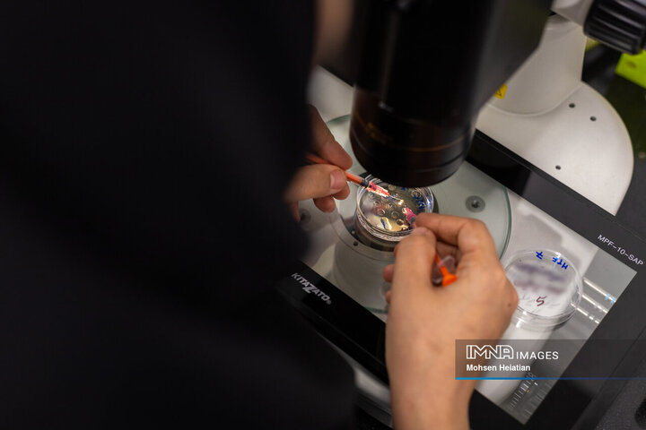 انجام عملیات لقاح(اینجکشن) 