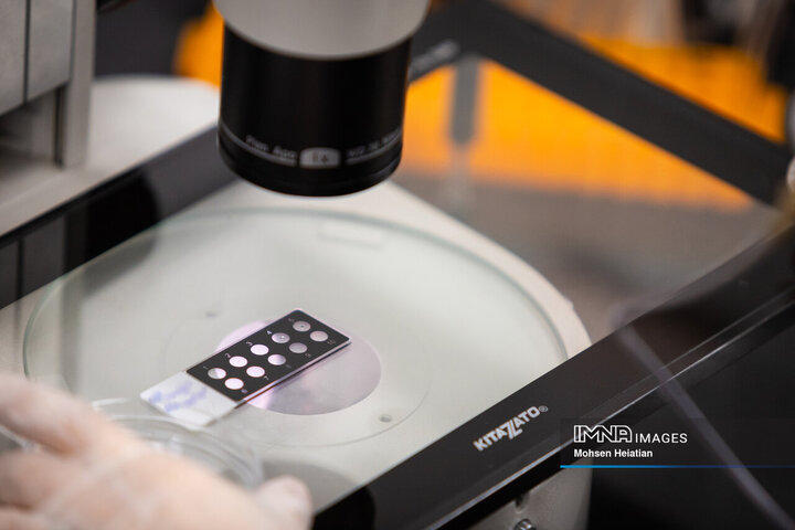 آغاز زندگی در آزمایشگاه