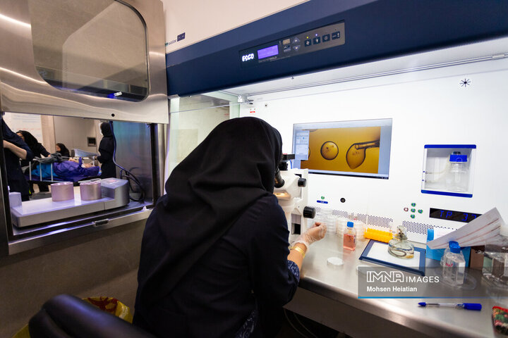 پس از اتمام دوره مصرف دارو، عملیات بازیابی تخمک از مادر در فضای آزمایشگاه انجام می‌شود